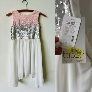 NWT Girls Blush and Silver Sequin Formal Dress Size 12 Blush Brand